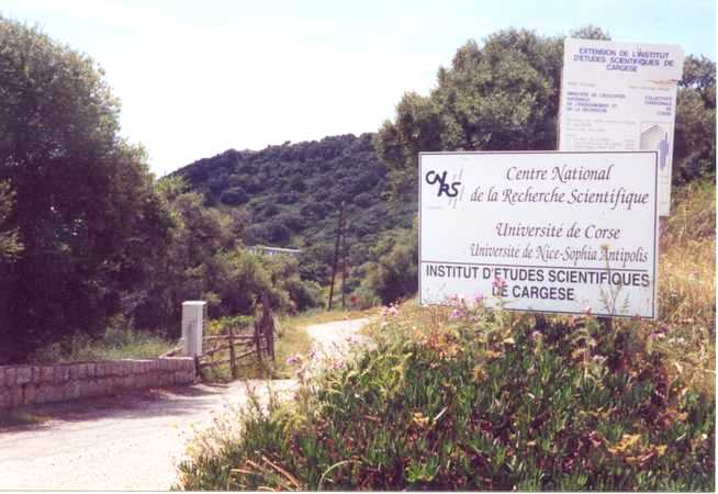 026_institut-cargese4